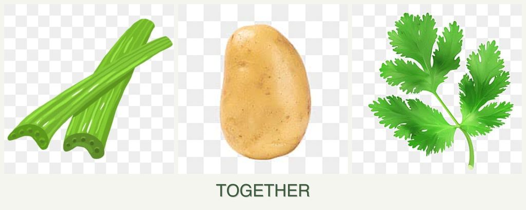 Can you plant celery, potatoes and parsley together?