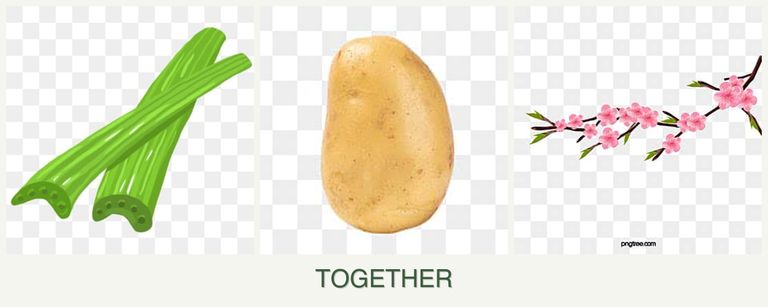 Can you plant celery, potatoes and peaches together?