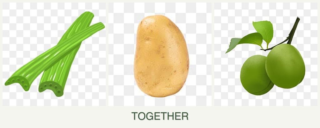 Can you plant celery, potatoes and plums together?