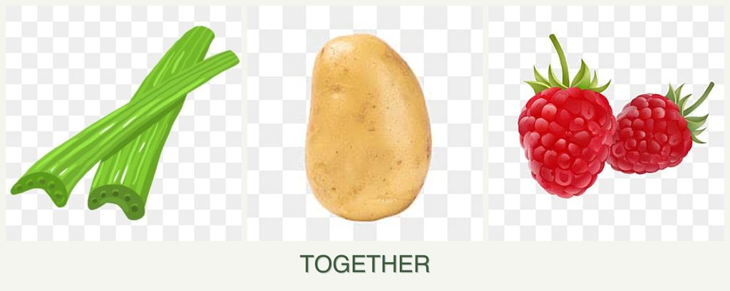 Can you plant celery, potatoes and raspberries together?