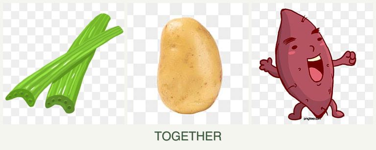 Can you plant celery, potatoes and sweet potatoes together?