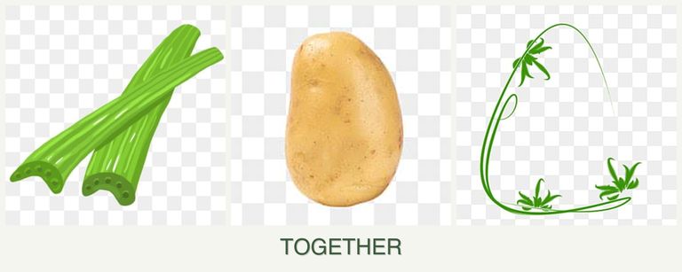 Can you plant celery, potatoes and tarragon together?