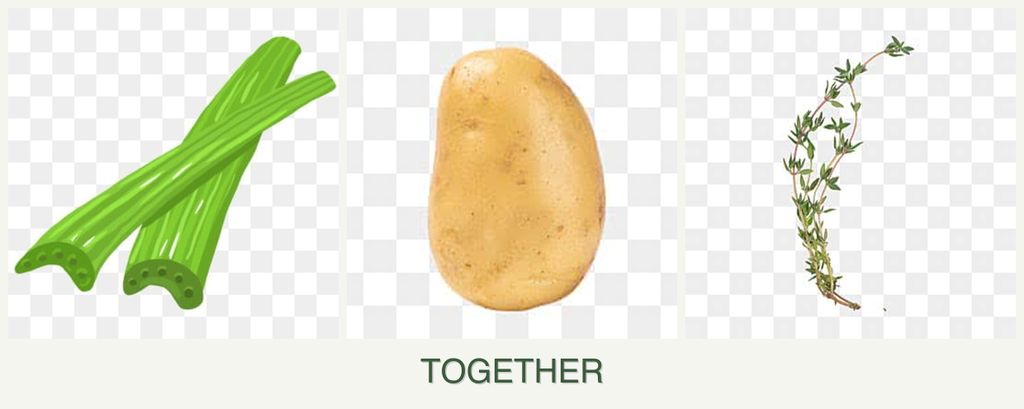 Can you plant celery, potatoes and thyme together?