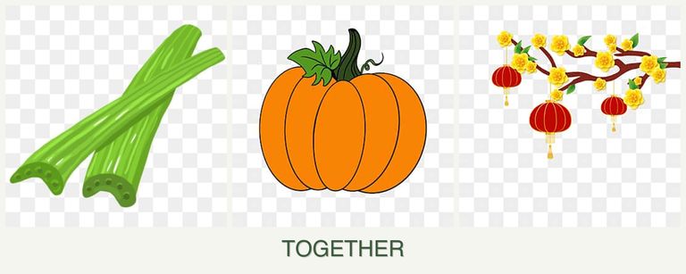 Can you plant celery, pumpkin and apricots together?