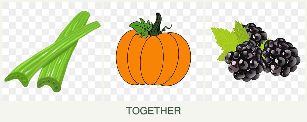Can you plant celery, pumpkin and blackberries together?