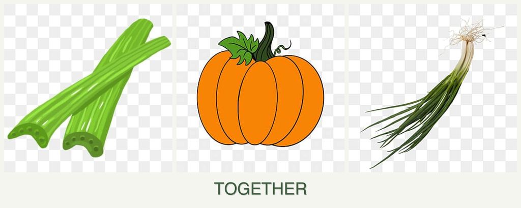 Can you plant celery, pumpkin and chives together?