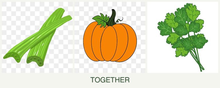 Can you plant celery, pumpkin and cilantro together?