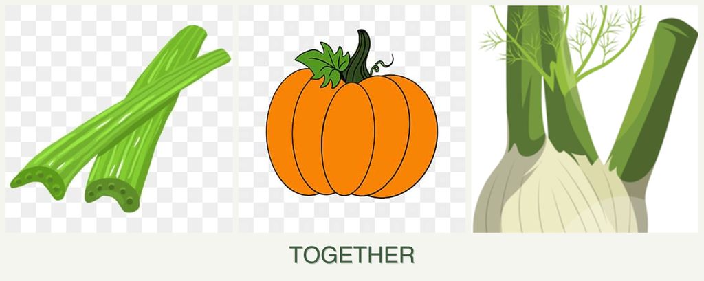 Can you plant celery, pumpkin and fennel together?