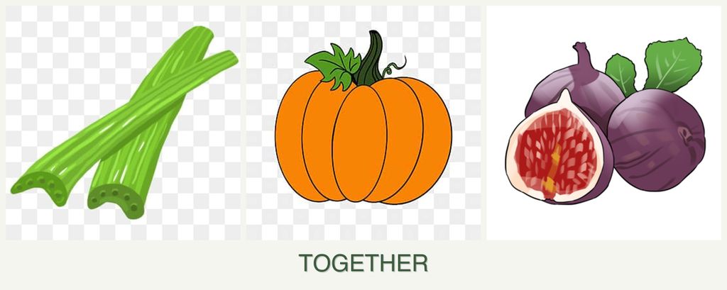 Can you plant celery, pumpkin and figs together?