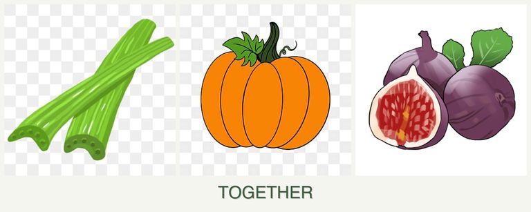 Can you plant celery, pumpkin and figs together?