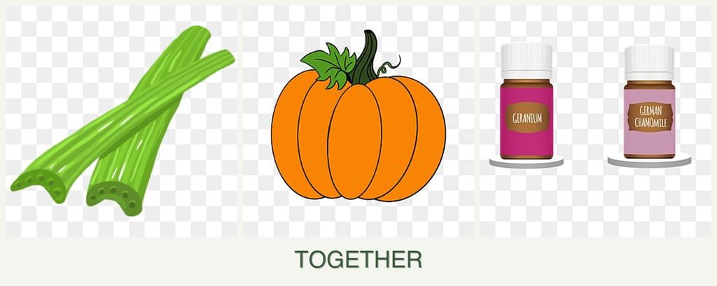 Can you plant celery, pumpkin and geraniums together?
