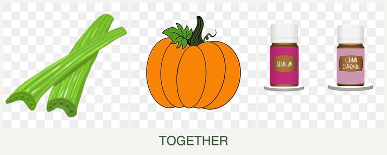 Can you plant celery, pumpkin and geraniums together?