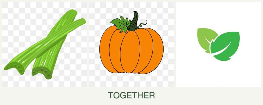 Can you plant celery, pumpkin and mint together?