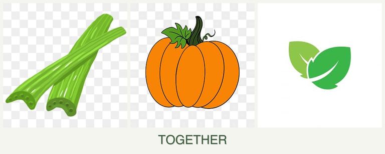 Can you plant celery, pumpkin and mint together?