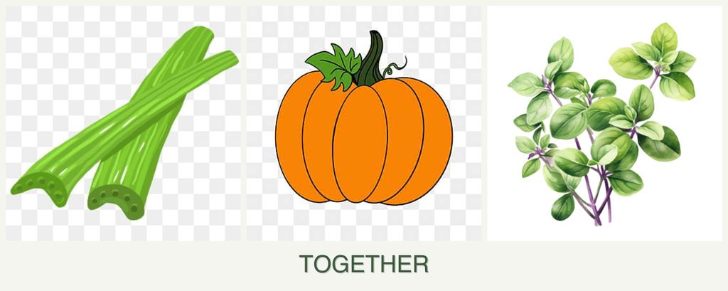 Can you plant celery, pumpkin and oregano together?