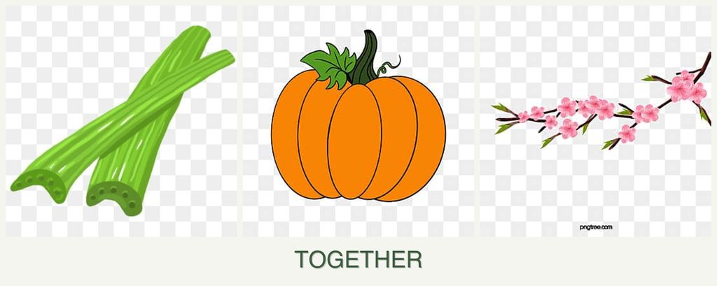 Can you plant celery, pumpkin and peaches together?