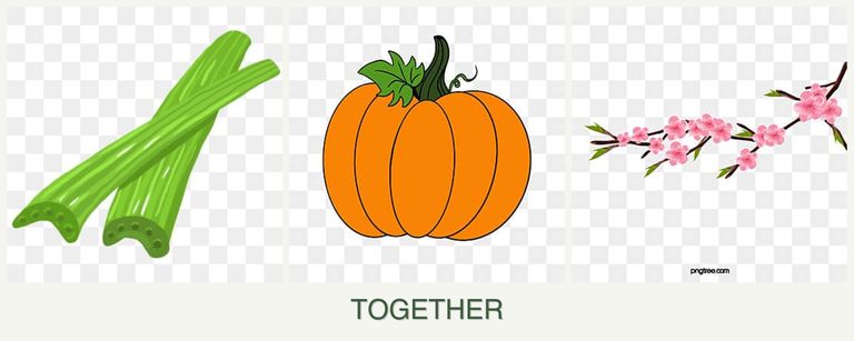 Can you plant celery, pumpkin and peaches together?