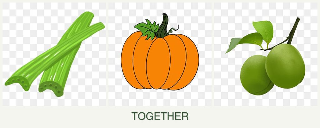 Can you plant celery, pumpkin and plums together?