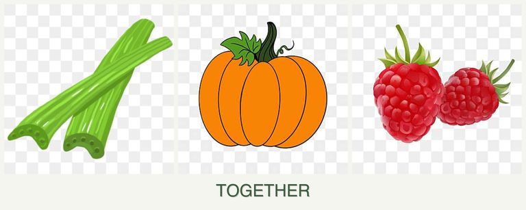 Can you plant celery, pumpkin and raspberries together?