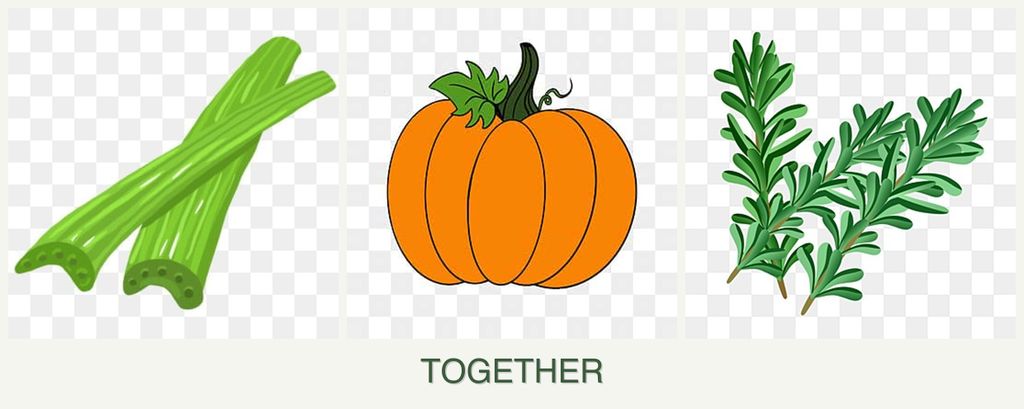 Can you plant celery, pumpkin and rosemary together?