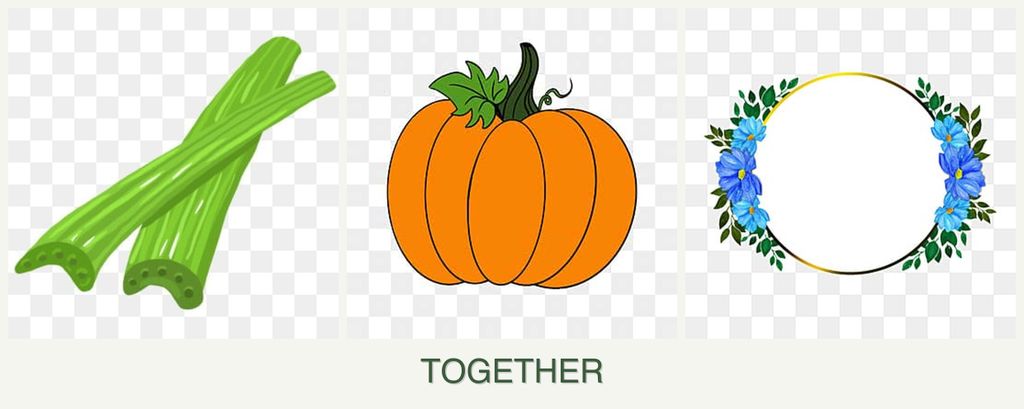 Can you plant celery, pumpkin and zinnias together?