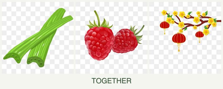 Can you plant celery, raspberries and apricots together?
