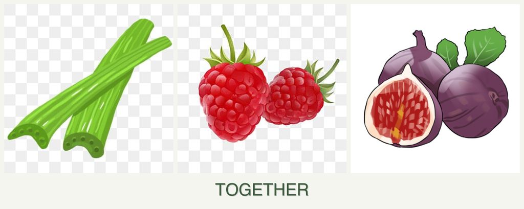 Can you plant celery, raspberries and figs together?