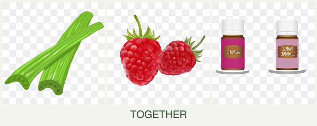 Can you plant celery, raspberries and geraniums together?