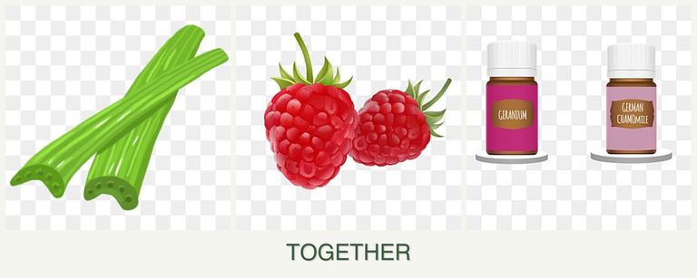 Can you plant celery, raspberries and geraniums together?