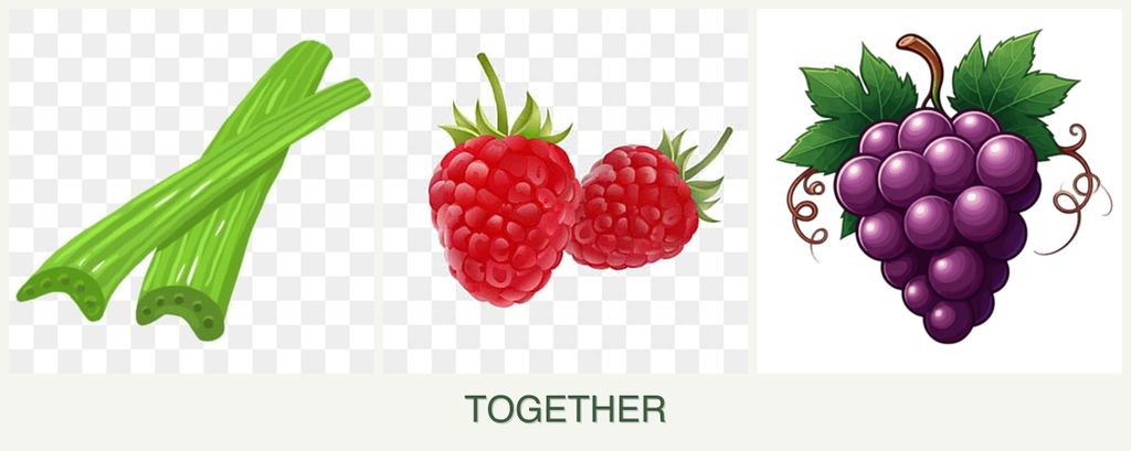 Can you plant celery, raspberries and grapes together?