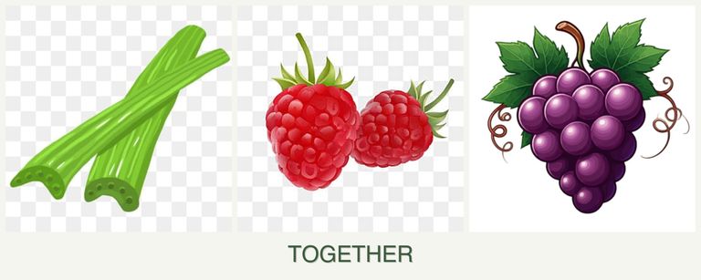 Can you plant celery, raspberries and grapes together?