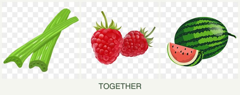 Can you plant celery, raspberries and melons together?