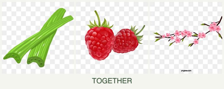 Can you plant celery, raspberries and peaches together?