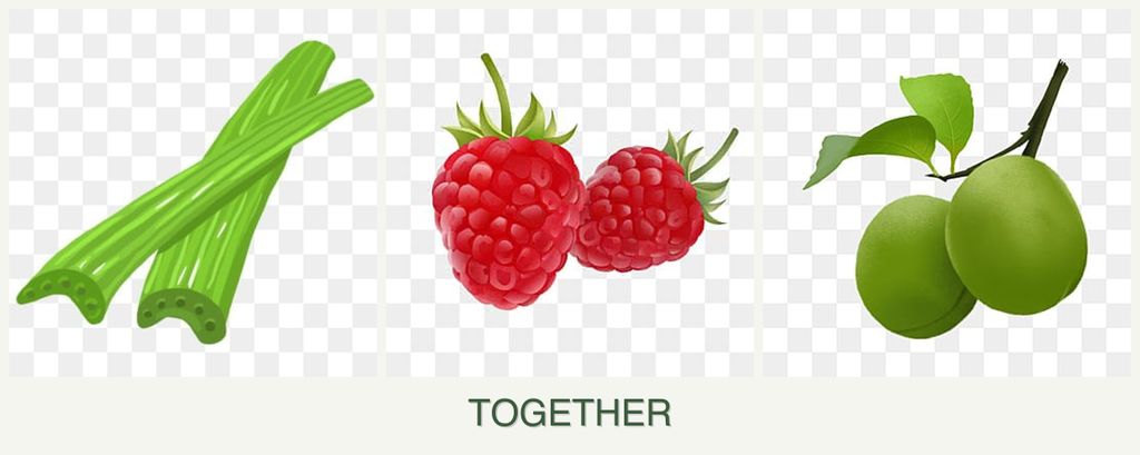 Can you plant celery, raspberries and plums together?