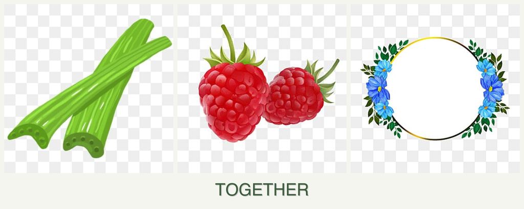 Can you plant celery, raspberries and zinnias together?