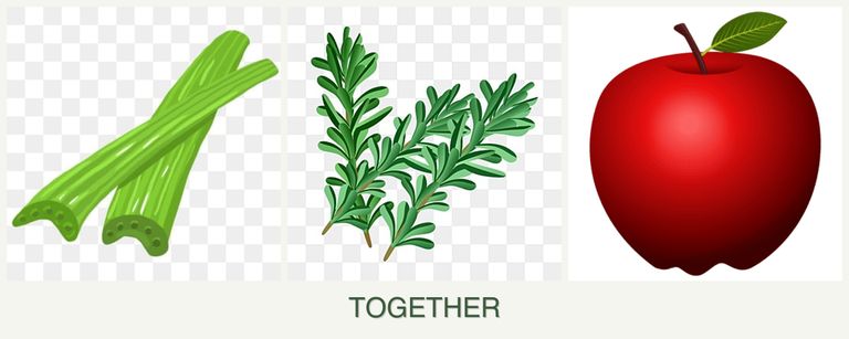 Can you plant celery, rosemary and apples together?