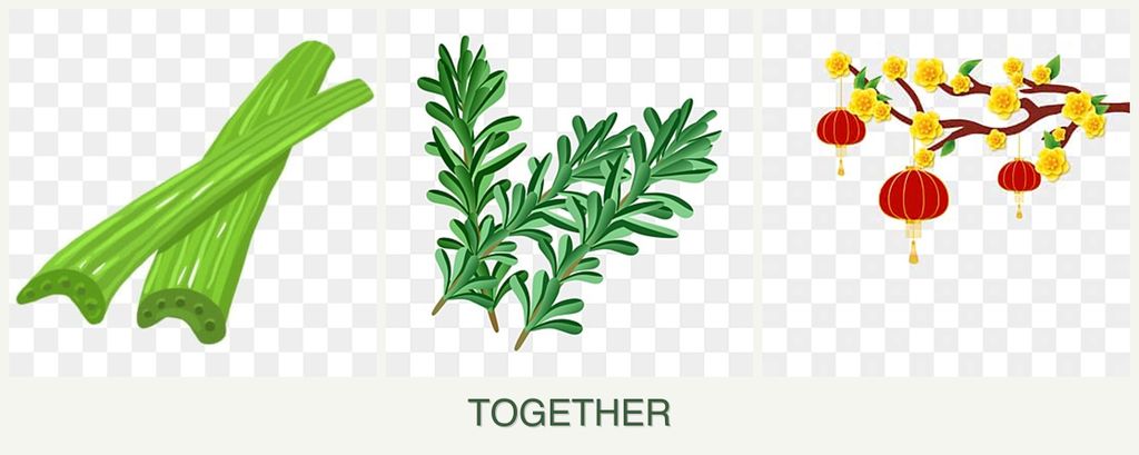 Can you plant celery, rosemary and apricots together?