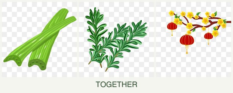 Can you plant celery, rosemary and apricots together?