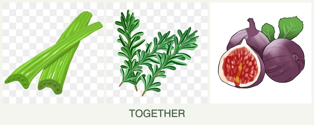 Can you plant celery, rosemary and figs together?
