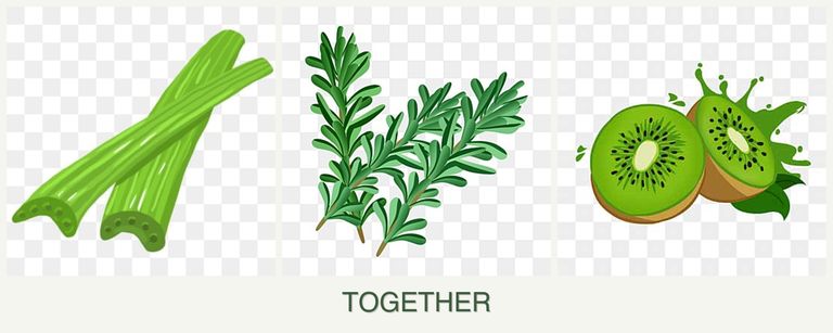 Can you plant celery, rosemary and kiwi together?