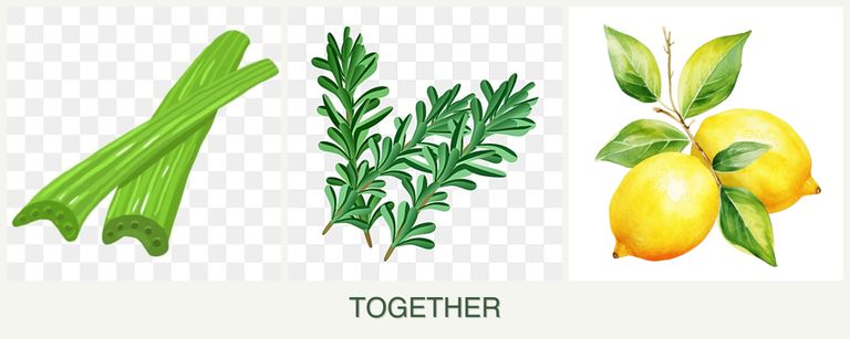 Can you plant celery, rosemary and lemons together?