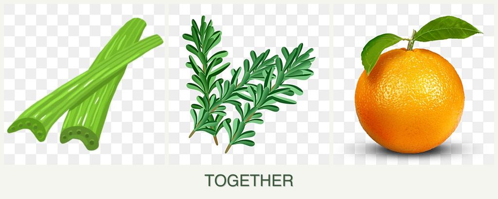 Can you plant celery, rosemary and oranges together?