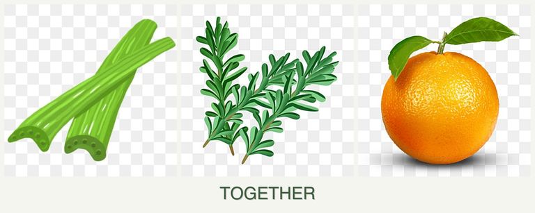 Can you plant celery, rosemary and oranges together?