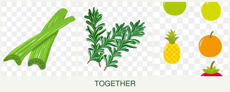 Can you plant celery, rosemary and pears together?