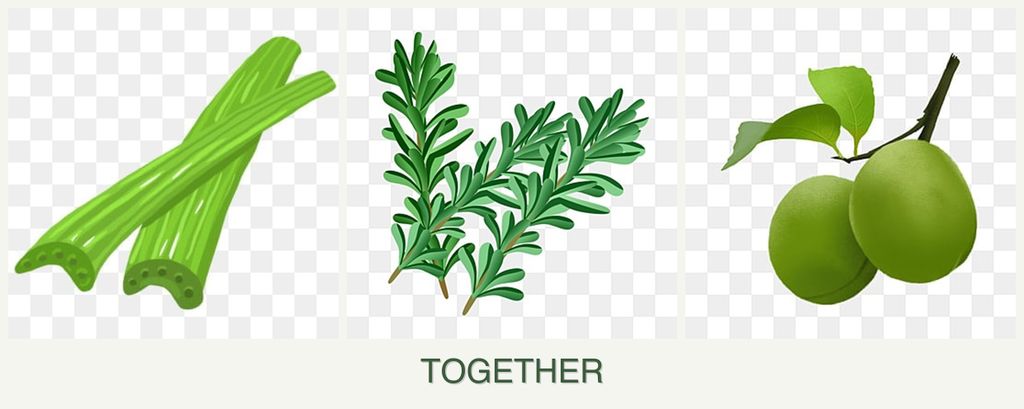 Can you plant celery, rosemary and plums together?
