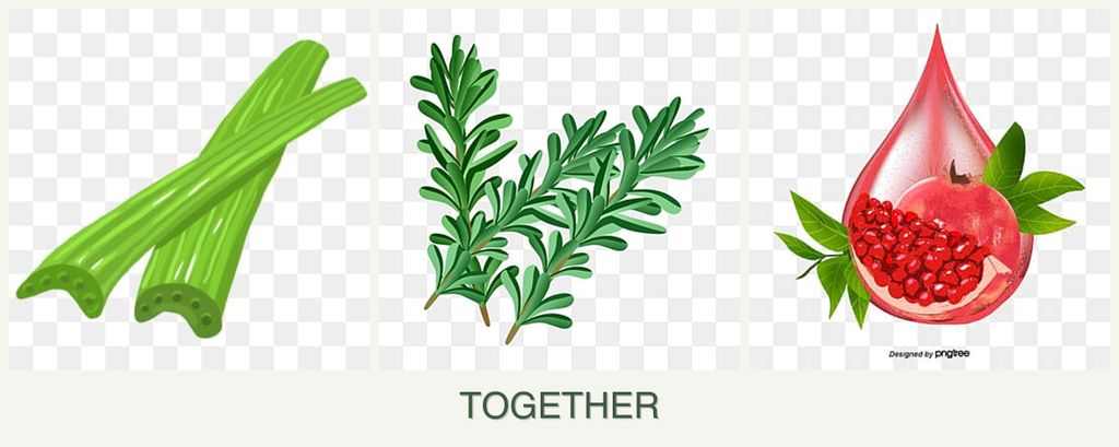 Can you plant celery, rosemary and pomegranates together?