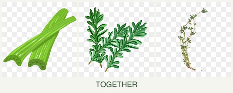 Can you plant celery, rosemary and thyme together?