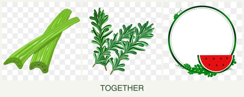 Can you plant celery, rosemary and watermelons together?
