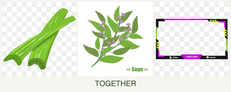 Can you plant celery, sage and limes together?