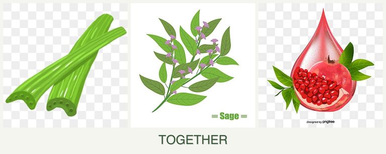 Can you plant celery, sage and pomegranates together?